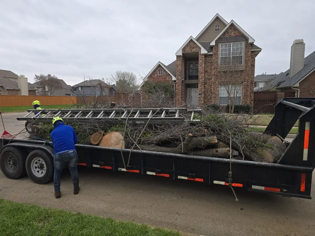 Expert Tree Pest Control with proper safety equipment in Cowarts